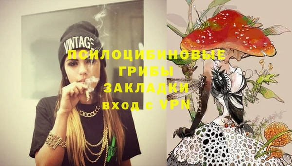 кокс Ветлуга