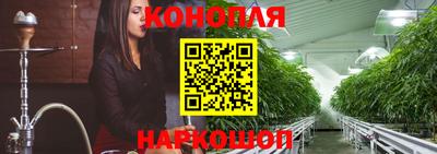 эйфоретик Малгобек