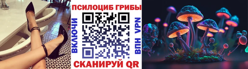 Галлюциногенные грибы мицелий  купить закладку  Донецк 