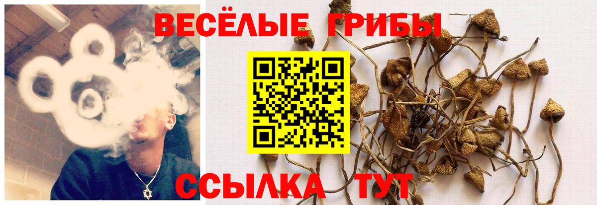 Галлюциногенные грибы мицелий Донецк